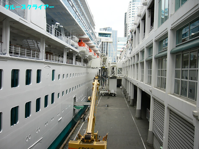 P1030389.jpg