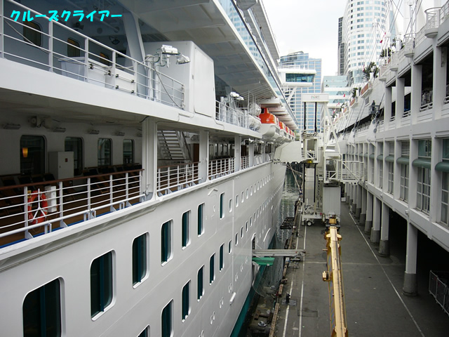 P1030393.jpg