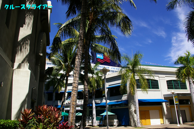 IMGP0300.jpg