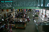 IMGP0314_thumb.jpg