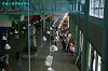 IMGP0316_thumb.jpg
