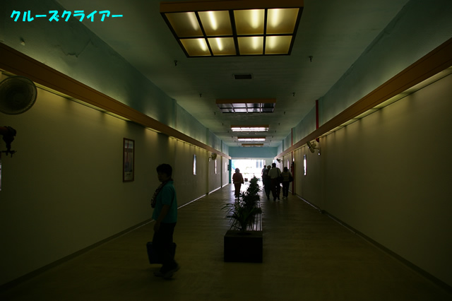 IMGP0318.jpg