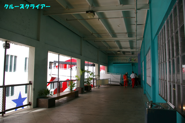 IMGP0319.jpg