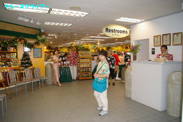 IMGP0427.jpg