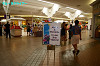 IMGP0428_thumb.jpg