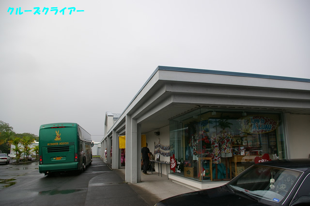 IMGP0431.jpg