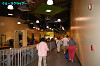 IMGP0584_thumb.jpg