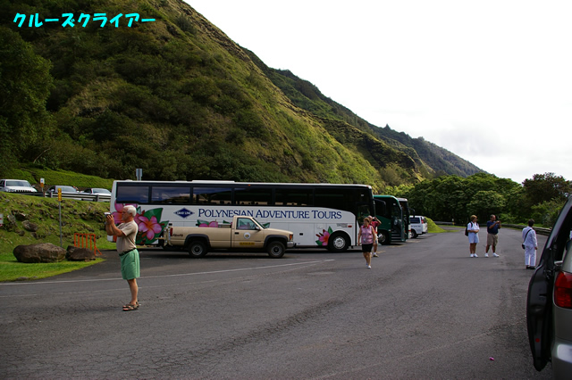 IMGP0595.jpg