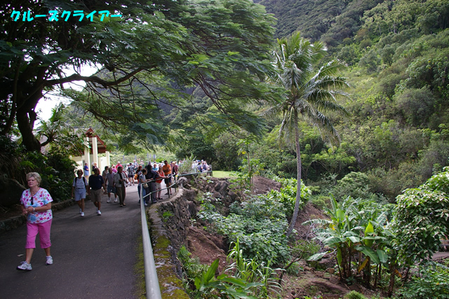 IMGP0598.jpg