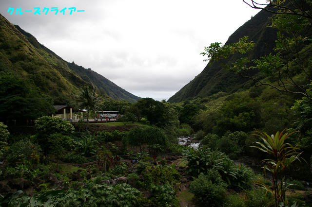 IMGP0606.jpg
