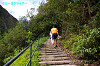 IMGP0609_thumb.jpg