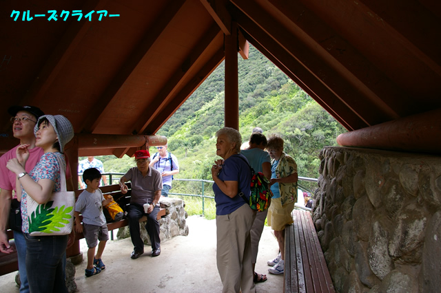 IMGP0623.jpg