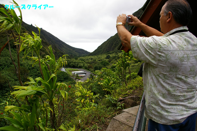 IMGP0626.jpg