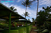 IMGP0633_thumb.jpg