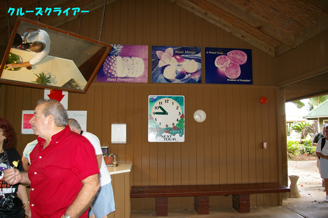 IMGP0635.jpg