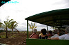 IMGP0641_thumb.jpg