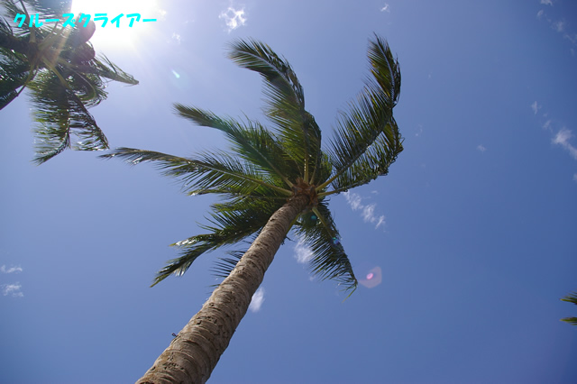 IMGP0651.jpg