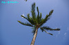 IMGP0652_thumb.jpg