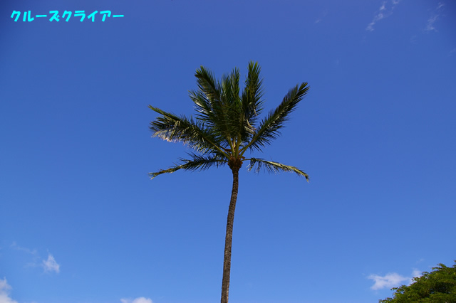 IMGP0653.jpg