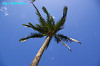 IMGP0654_thumb.jpg