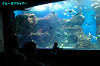IMGP0655_thumb.jpg