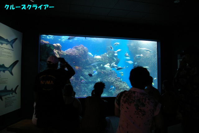 IMGP0656.jpg