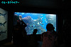 IMGP0656_thumb.jpg