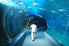 IMGP0661_thumb.jpg
