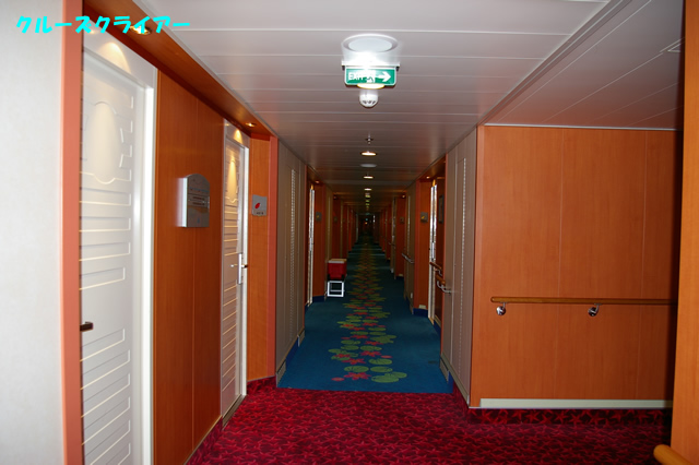 IMGP0681.jpg