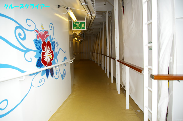 IMGP0686.jpg