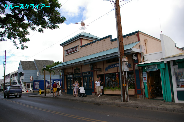 IMGP0728.jpg