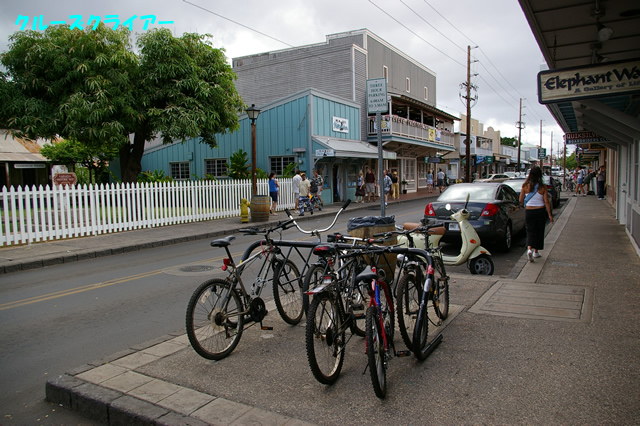 IMGP0729.jpg