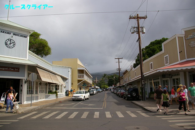 IMGP0730.jpg