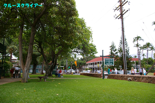 IMGP0735.jpg