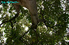 IMGP0736_thumb.jpg