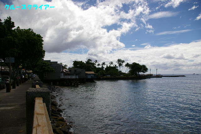 IMGP0742.jpg
