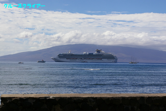 IMGP0748.jpg