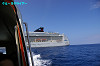 IMGP0788_thumb.jpg