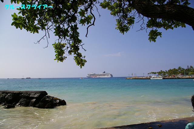 IMGP0802.jpg