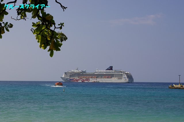 IMGP0803.jpg