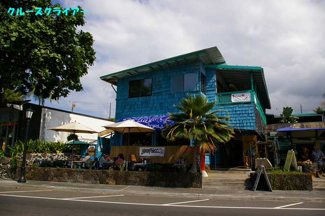 IMGP0804.jpg