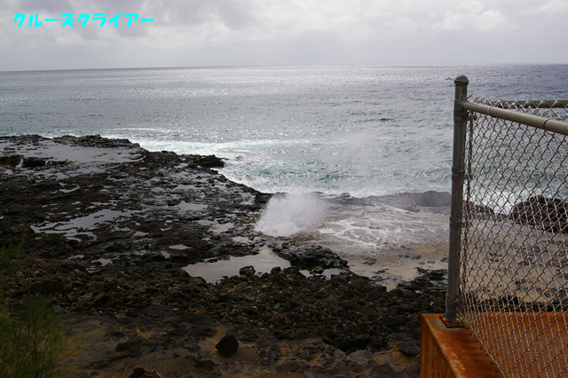 IMGP0891.jpg