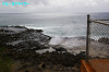 IMGP0891_thumb.jpg