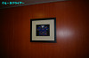 IMGP0921_thumb.jpg
