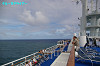 IMGP0990_thumb.jpg