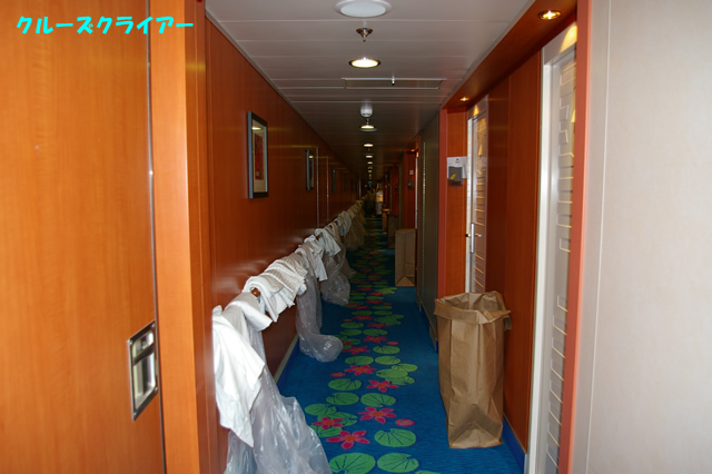 IMGP1105.jpg