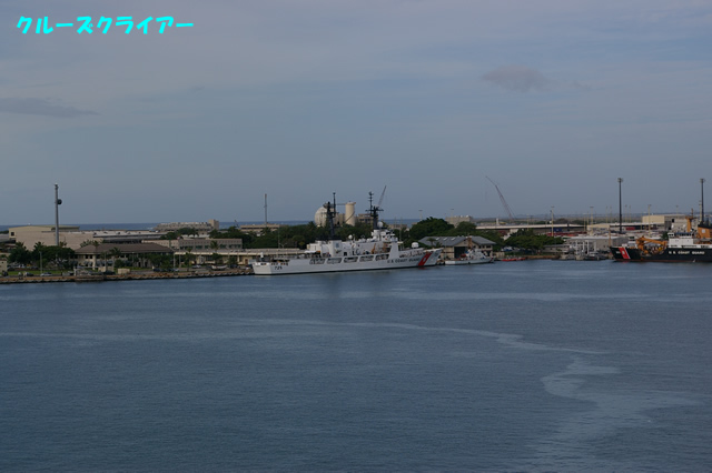 IMGP1124.jpg
