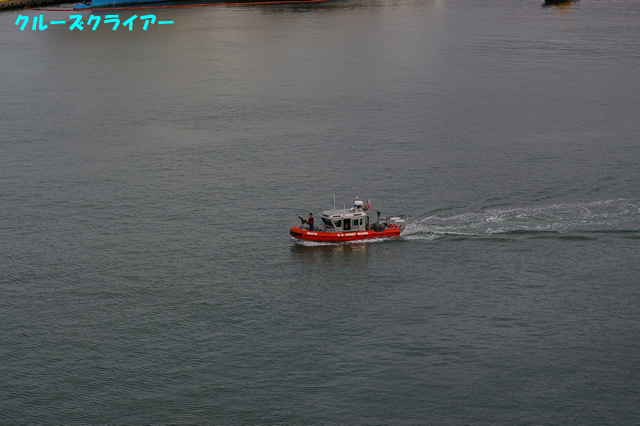IMGP1126.jpg