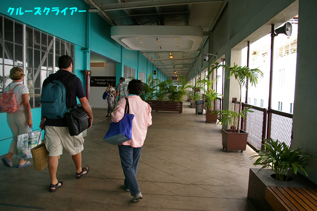 IMGP1131.jpg