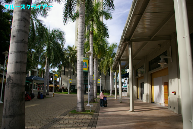 IMGP1140.jpg